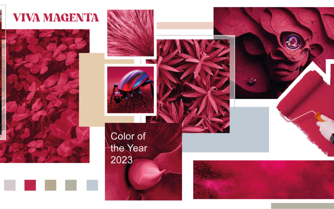 COLOUR : Pantone of the year 2023
