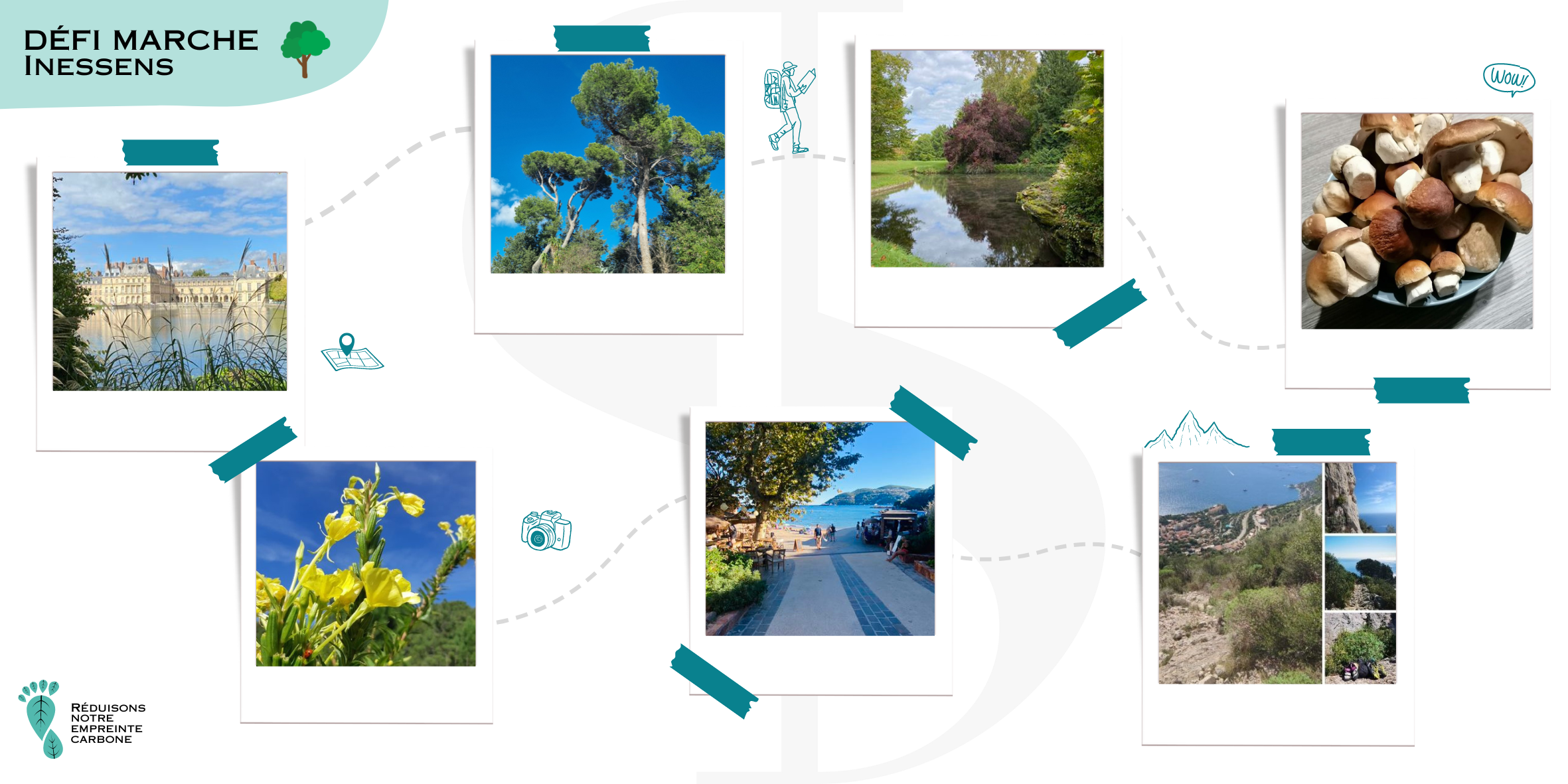 When walking is synonym of conviviality and reforestation - Inessens